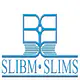 som logo_.webp
